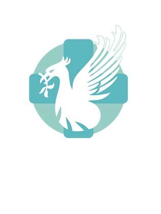 logo ic 1